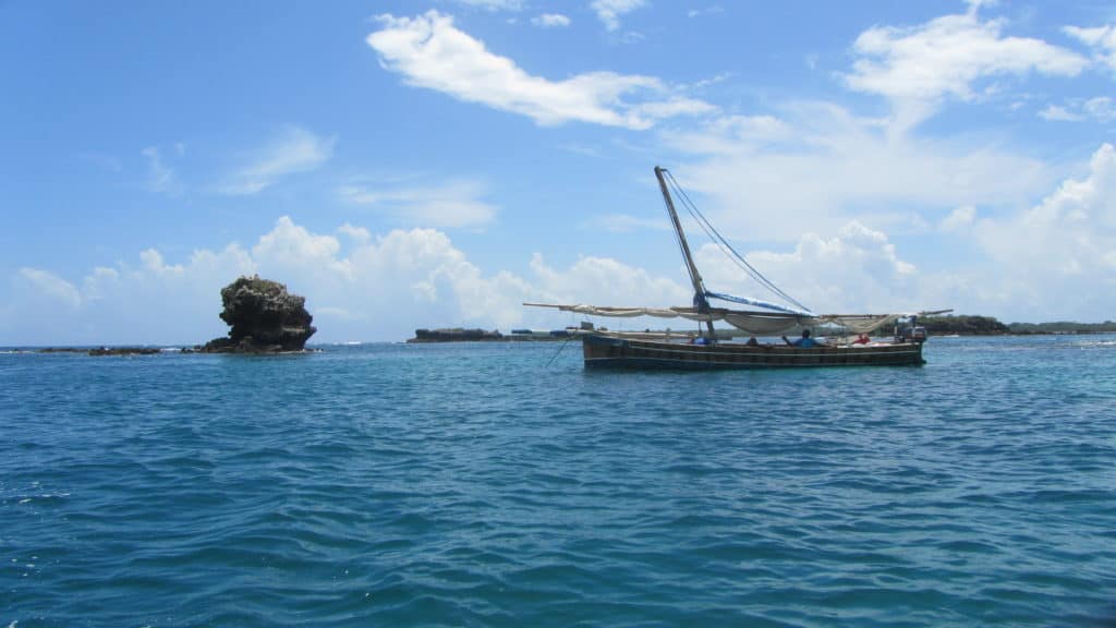 סירת דאו באי מאפיה