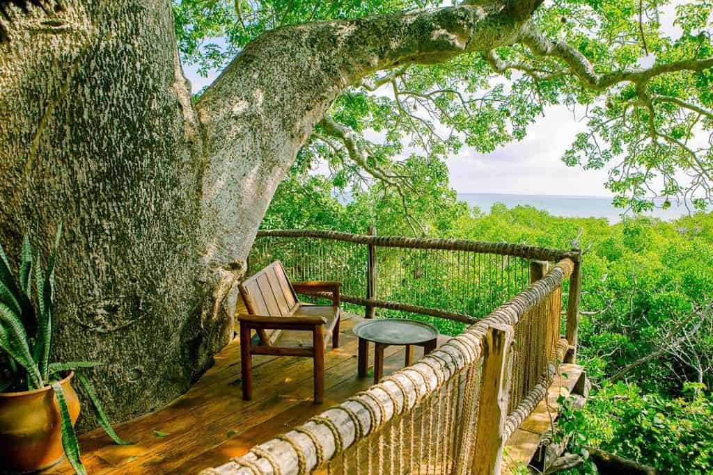 בית עץ על האי מאפיה