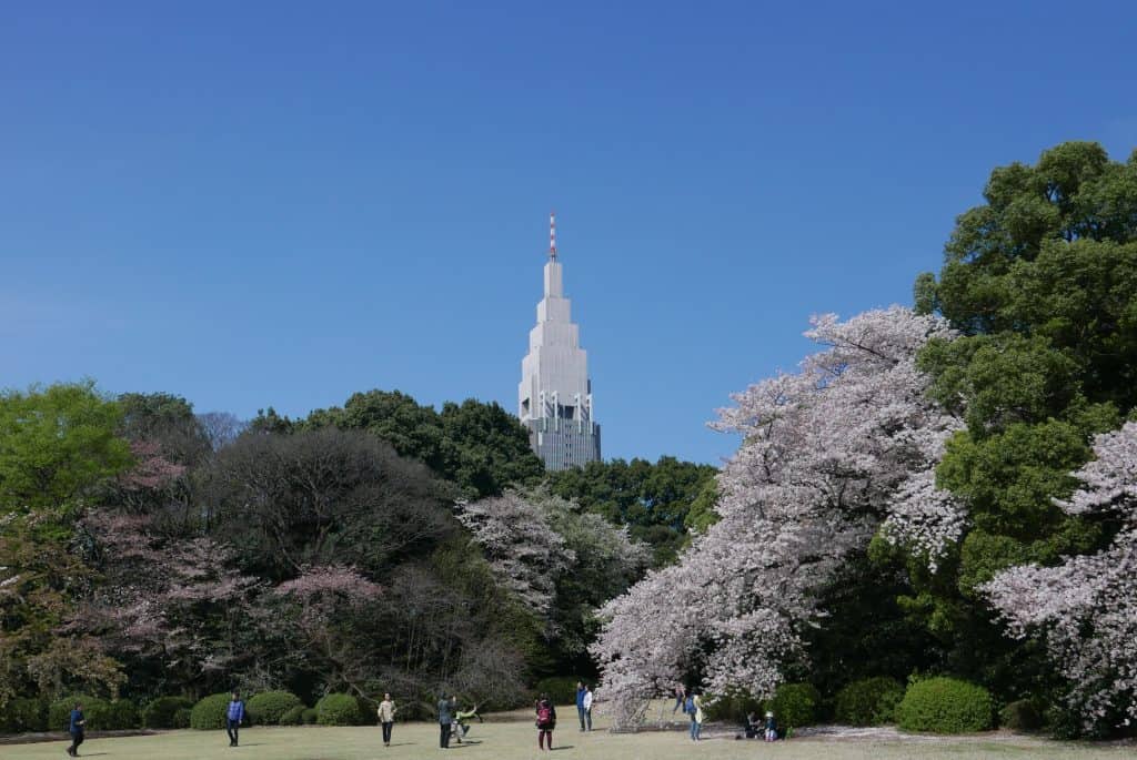 פארק שינג׳וקו בטוקיו