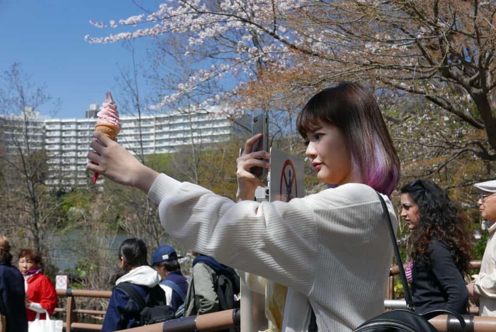 סלפי ביפן עם גלידה - פריחת הדובדבן