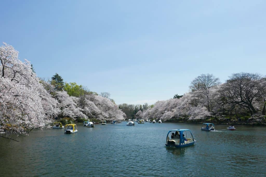 פארק אינוקשירה - Inokashira Park